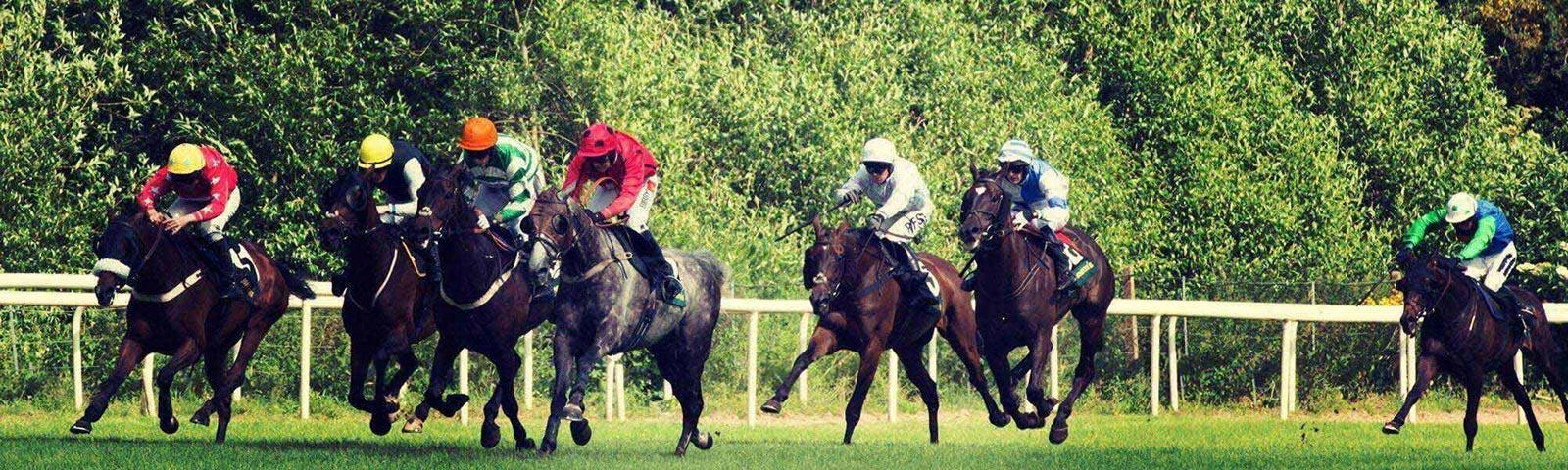 Group of jockeys racing at Uttoxeter Racecourse.